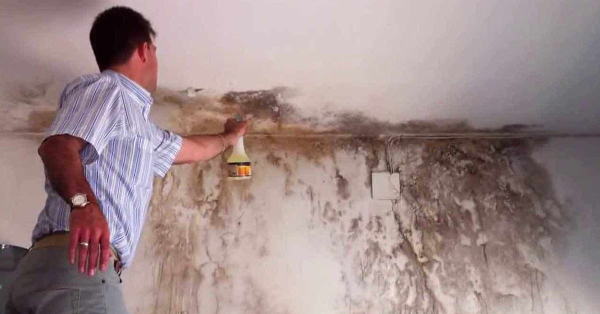 10 astuces pour enlever les taches d’humidité sur les murs peints