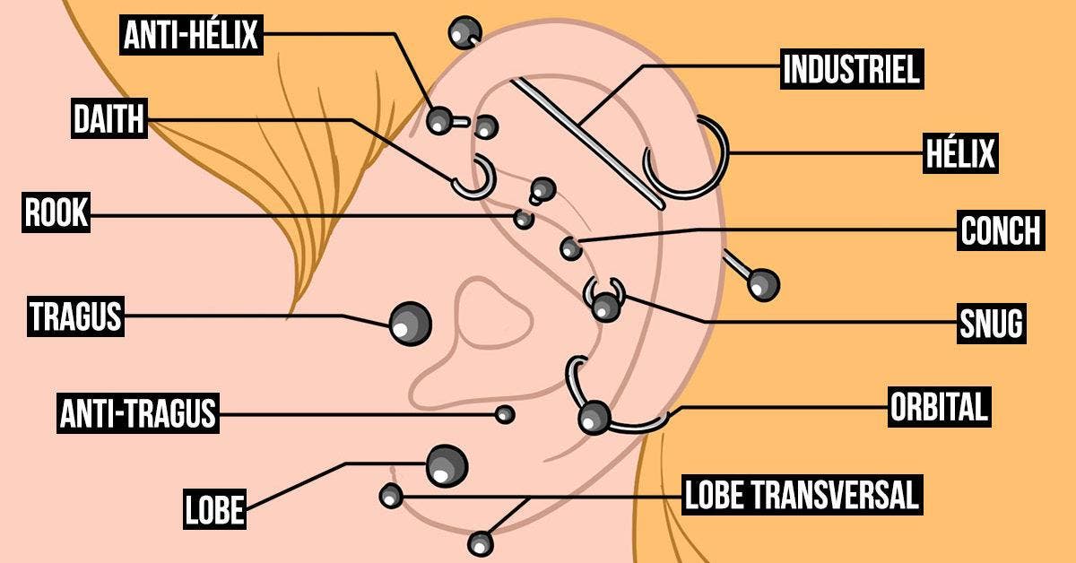 16 types de piercings d’oreille et leur niveau de douleur : le guide ...