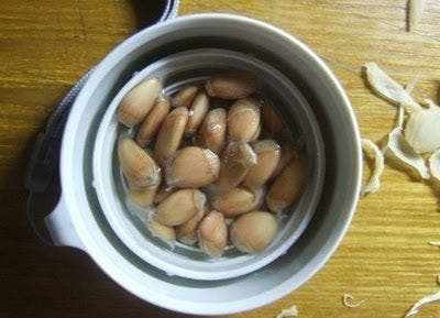 planta limón en una taza y tu casa siempre olerá bien