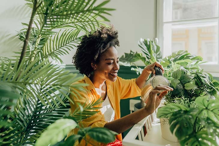 plantas de interior