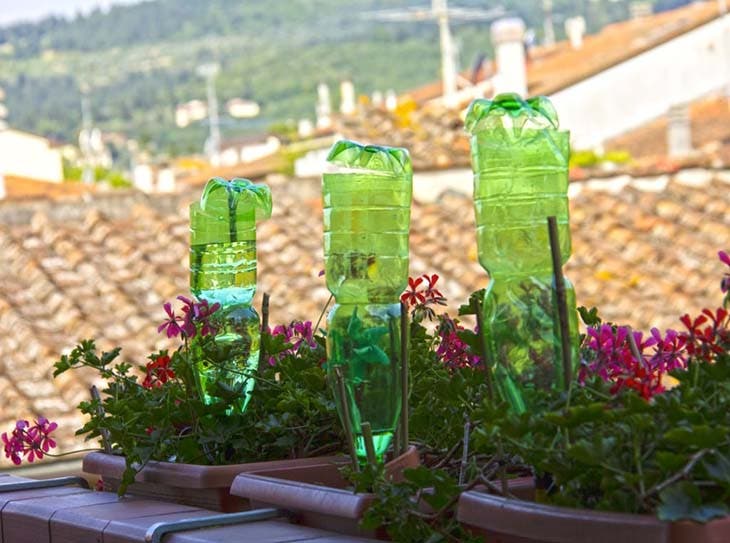 Botellas de plástico para regar las plantas.