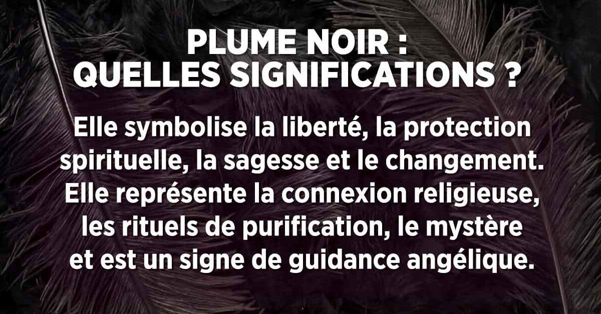 Plume noire signification : symbole de malheur ou de protection ?