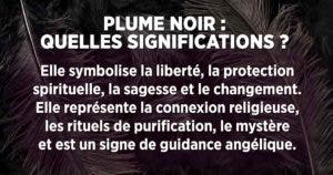 Plume noire signification : symbole de malheur ou de protection ?