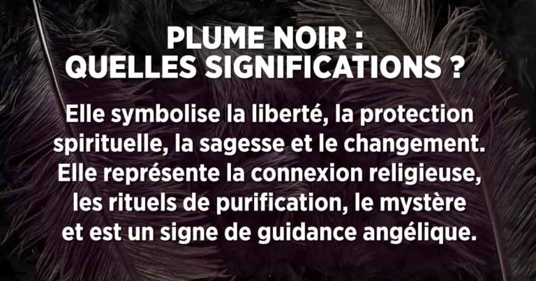 Plume noire signification : symbole de malheur ou de protection