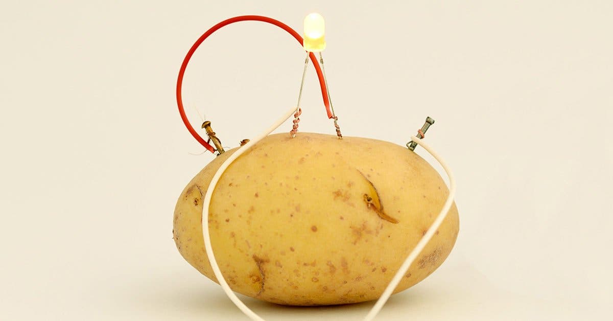 Besoin de lumière ? Des pommes de terre peuvent fournir assez d'énergie pour éclairer une pièce pendant 40 jours