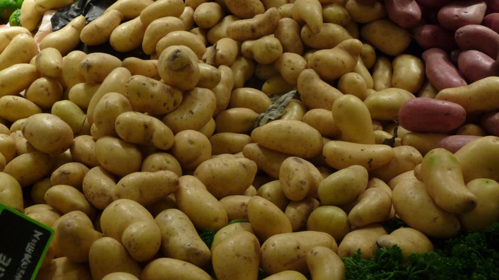 pommes de terre1