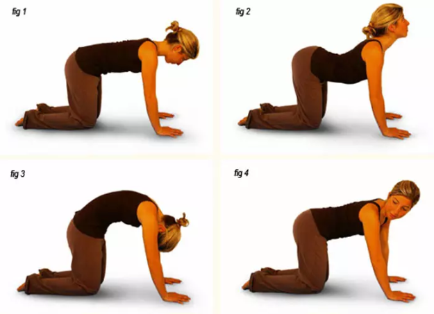 positions de yoga