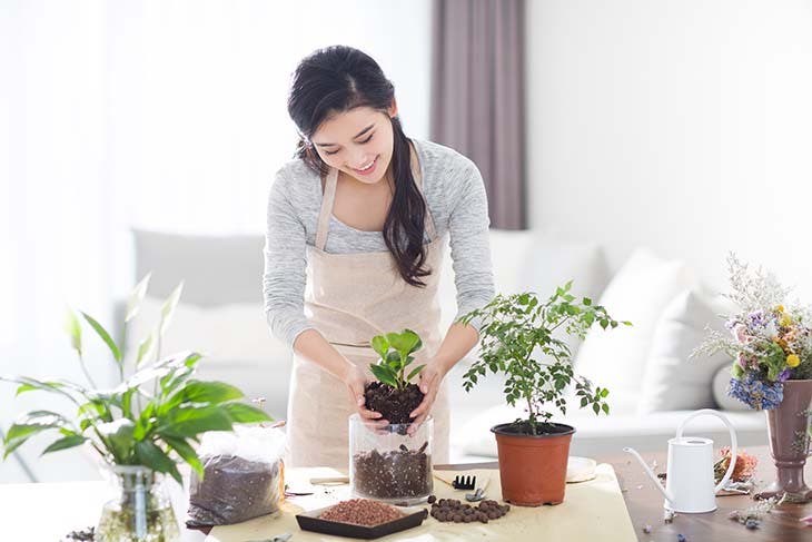 prendre soin des plantes - 12 choses qui se produisent lorsque vous êtes accro aux plantes d’interieur