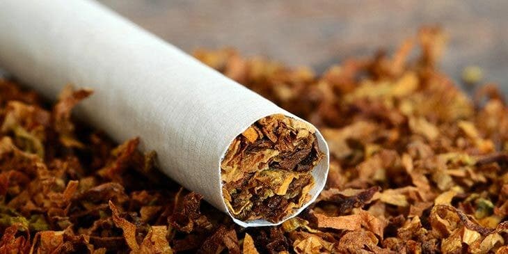 Yaprak bitlerini uzaklaştırmak için tütün.