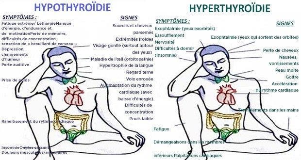 quelles-differences-entre-lhypo-de-lhyperthyroidie-et-quels-sont-les-traitements-les-plus-adaptes