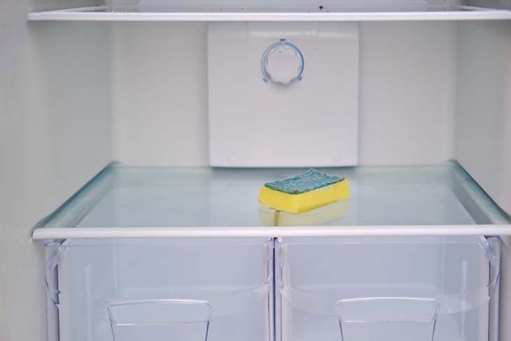 sponge in the fridge