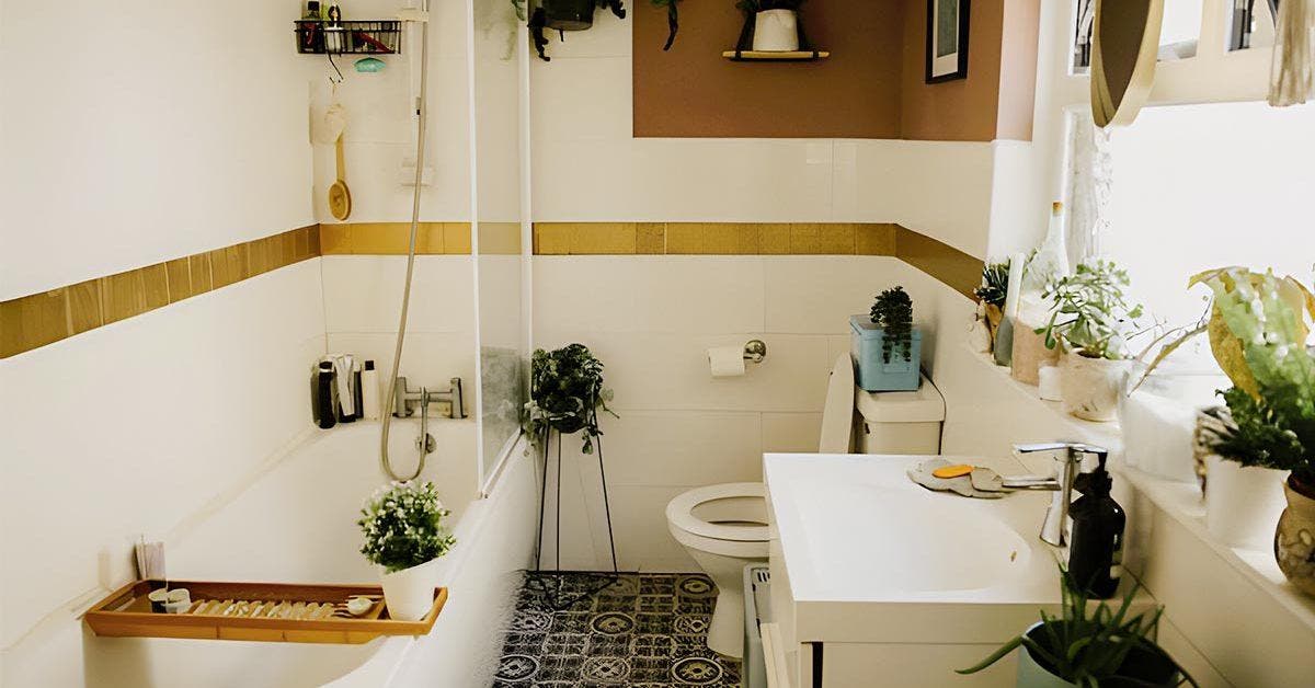 Rénover votre maison : ne faites plus le choix entre une baignoire ou une douche, nous avons la solution !