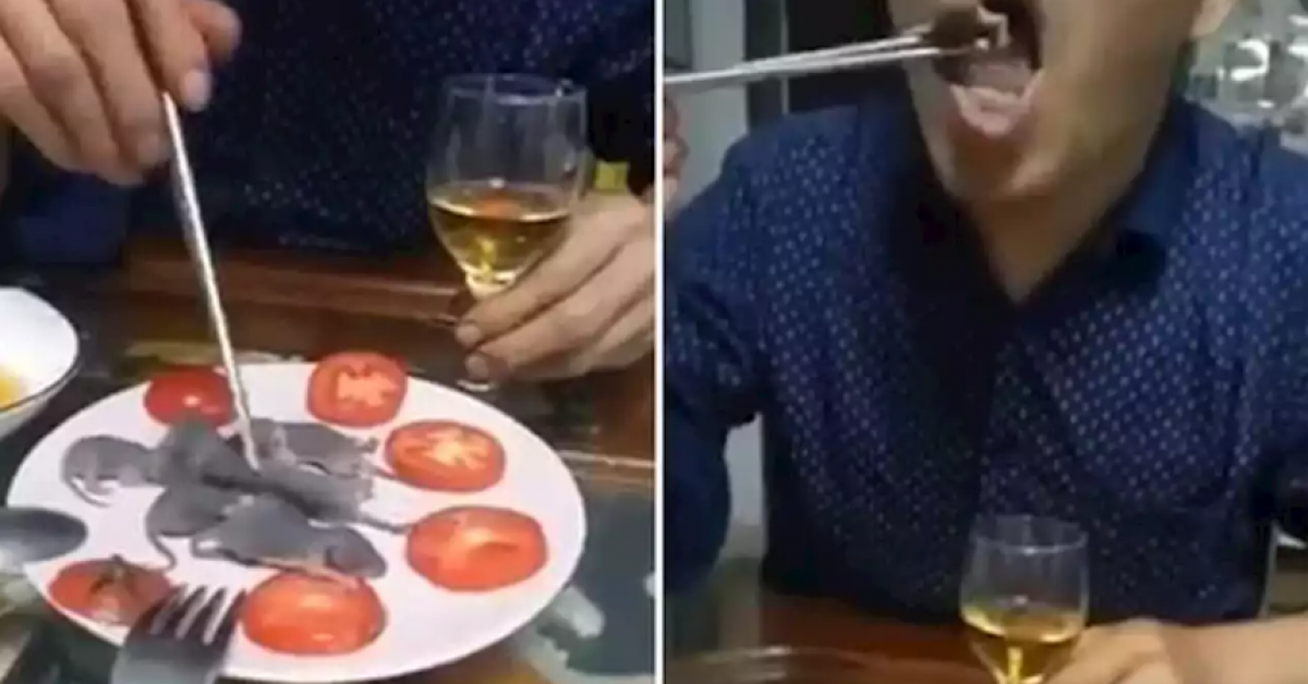 Un chinois trempe une souris vivante dans la sauce avant de la manger