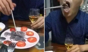 Un chinois trempe une souris vivante dans la sauce avant de la manger
