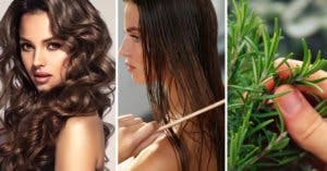 3 traitements au romarin qui stoppent la chute des cheveux et les font pousser