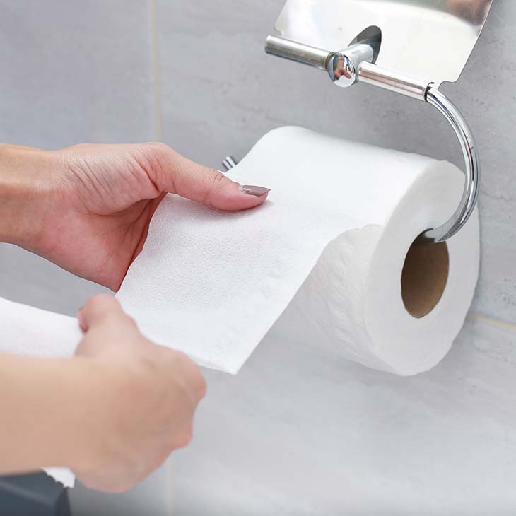 rouleau papier toilette