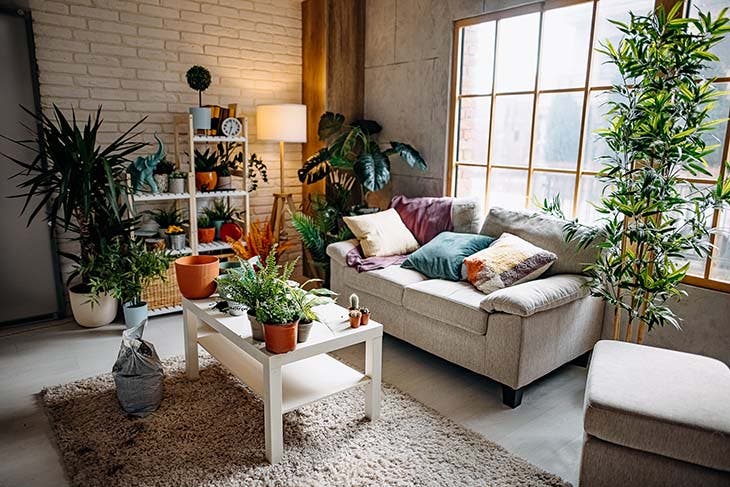 salón decorado con plantas