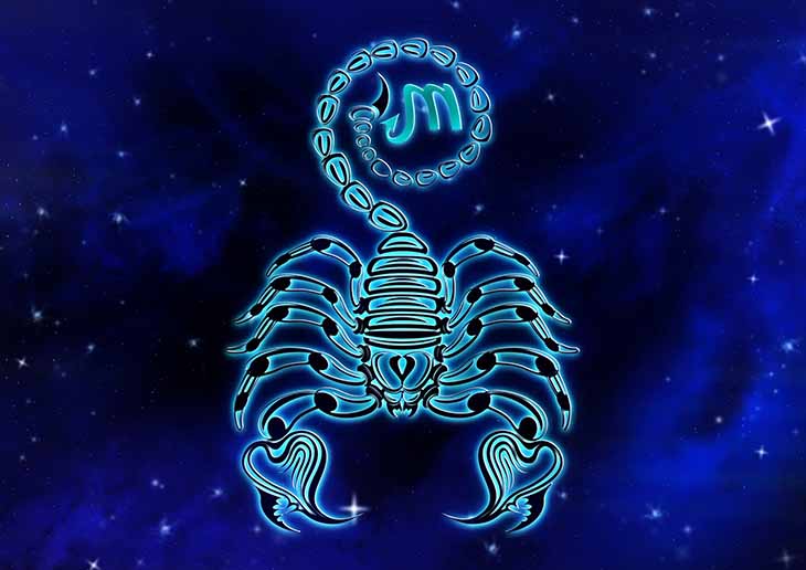 scorpion 1 7 - Les 4 signes du zodiaque les plus dangereux : sous leur carapace se cache un vrai diable