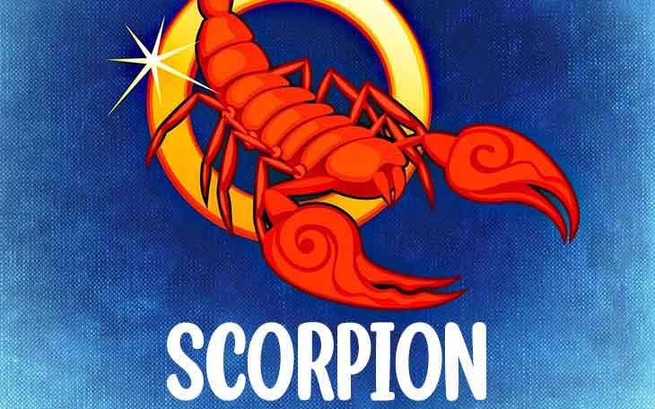 scorpion-15-1
