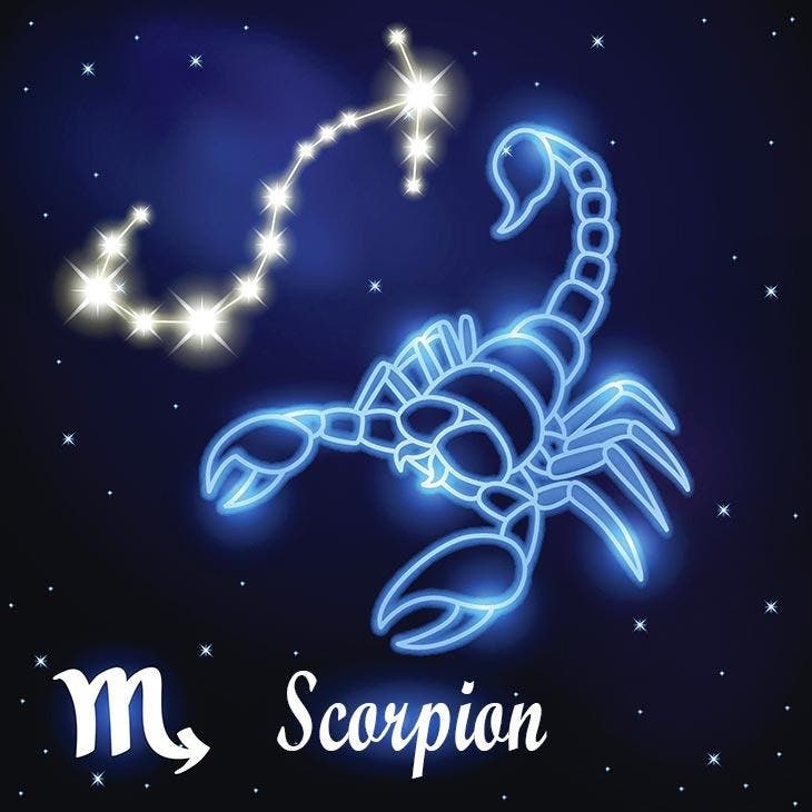 Silver Scorpion 001