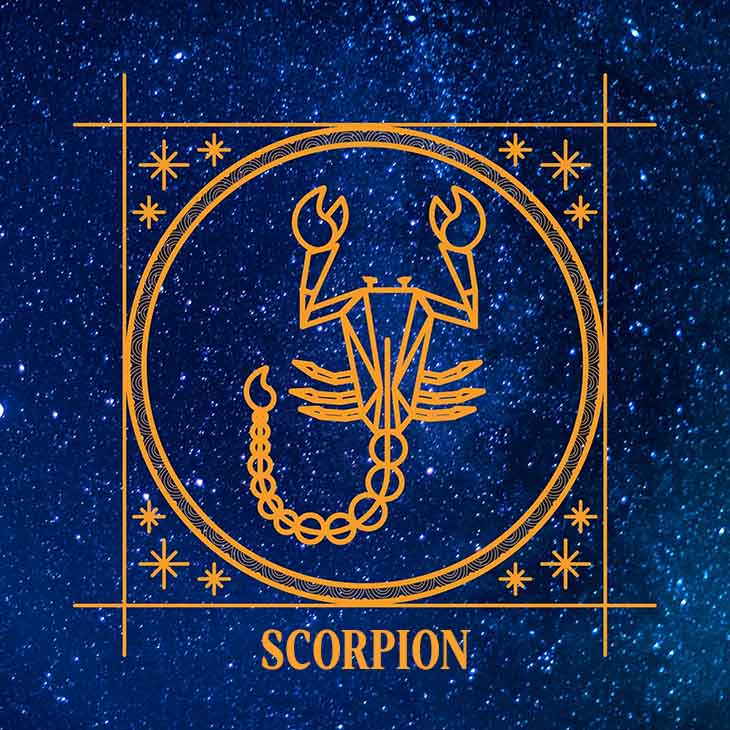 scorpion charmant