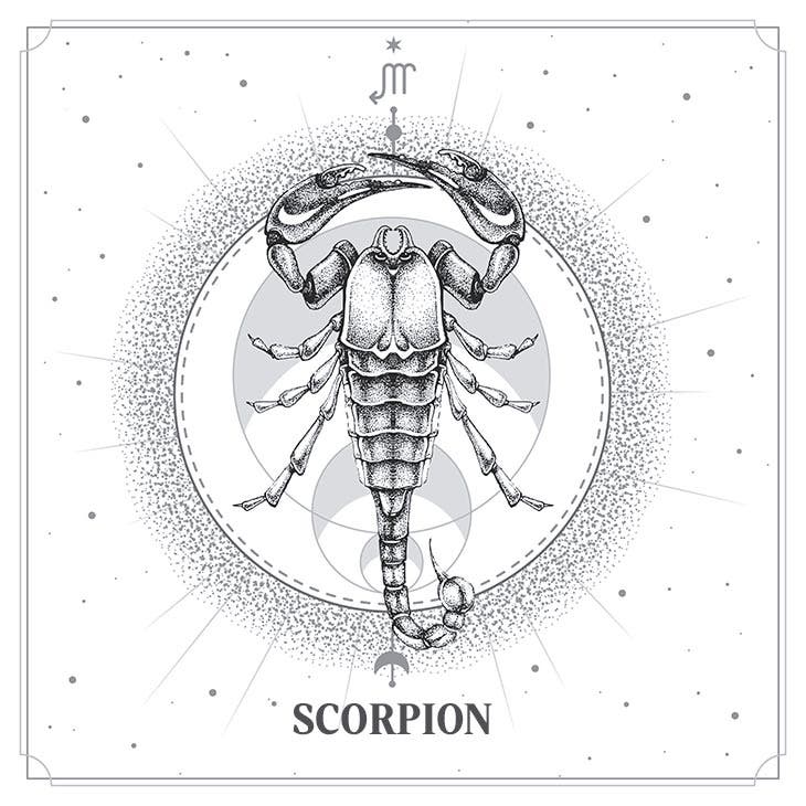 scorpion energie