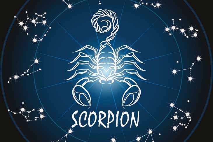 scorpion-jaloux