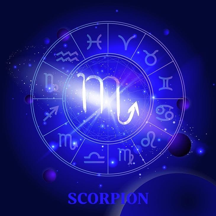 amazing scorpion period