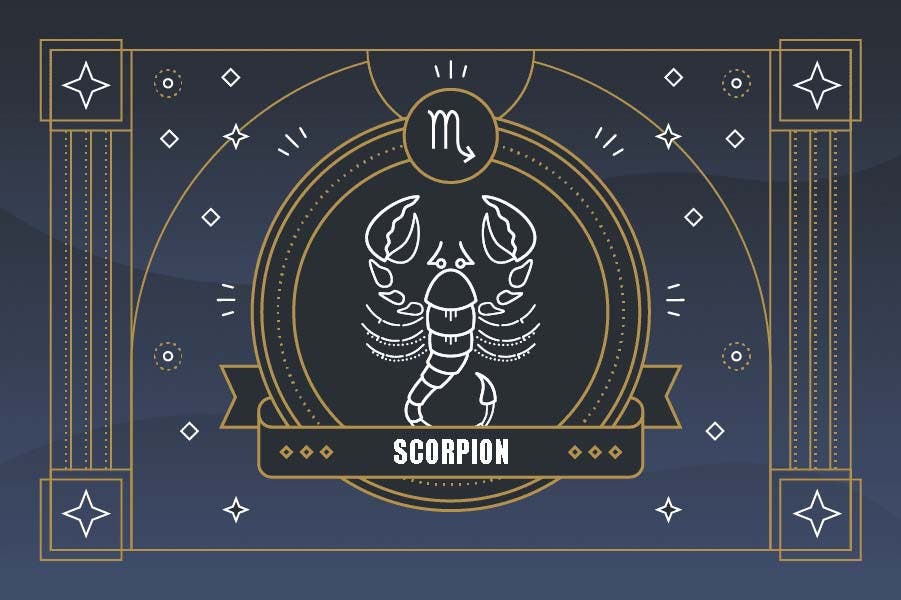 scorpion secret
