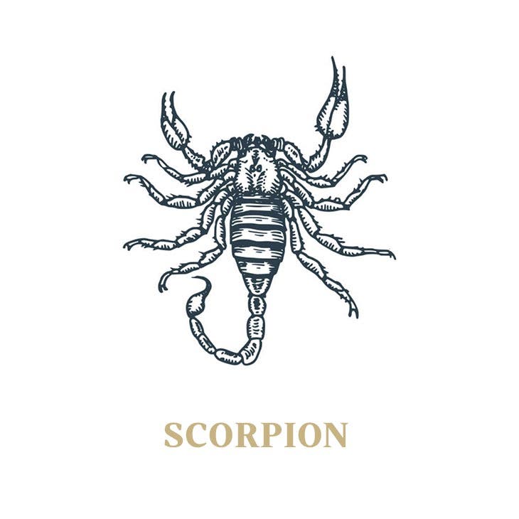 Le signe du scorpion 