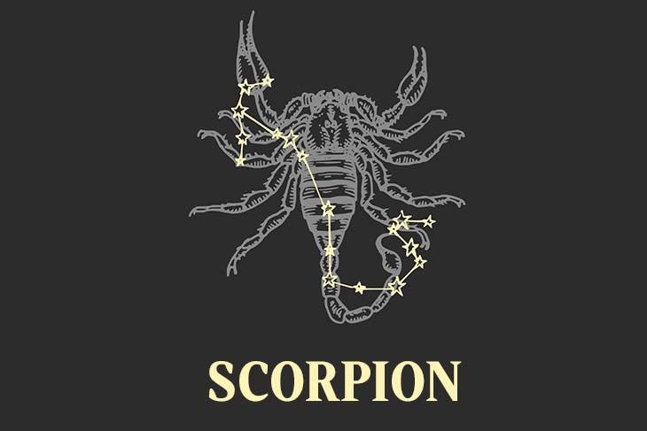 scorpion travailleur