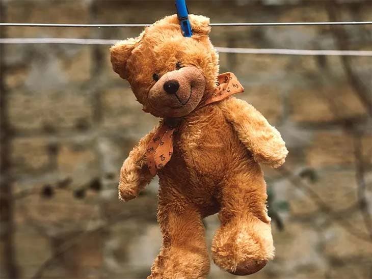 Laver une peluche : Comment nettoyer efficacement les jouets des