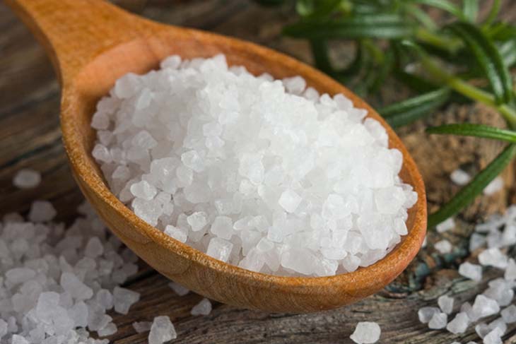 9 consejos naturales para eliminar pulgas y garrapatas de tu perro 3 sal para pulgas de perro