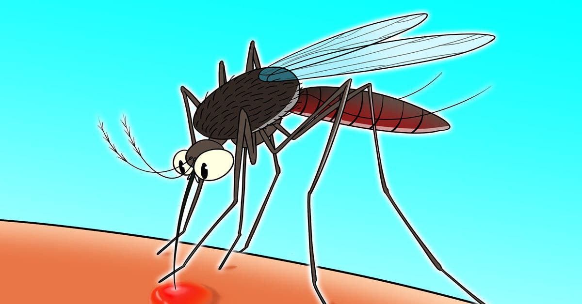 Comment soulager les démangeaisons après à une piqûre de moustique ? C’est très simple !