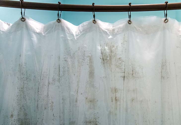 macchie di umidità della tenda della doccia