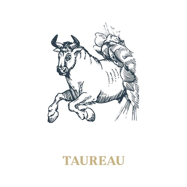 Taurus suffers