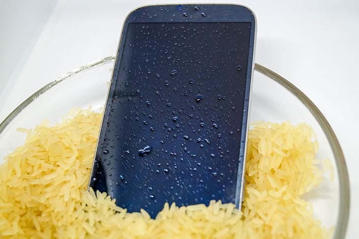 téléphone riz