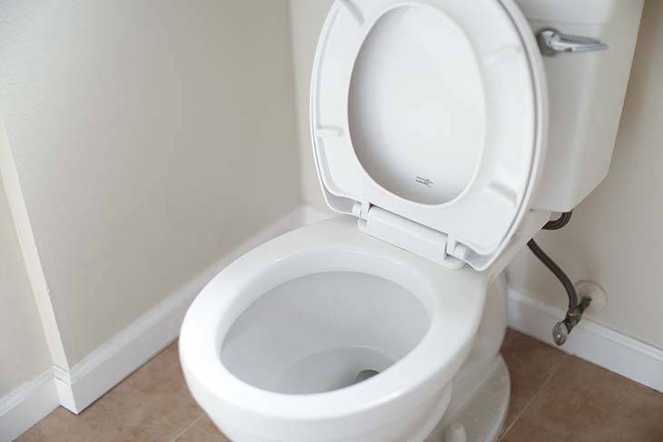 Knoblauch Toilette