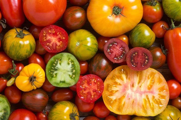Différents types de tomates