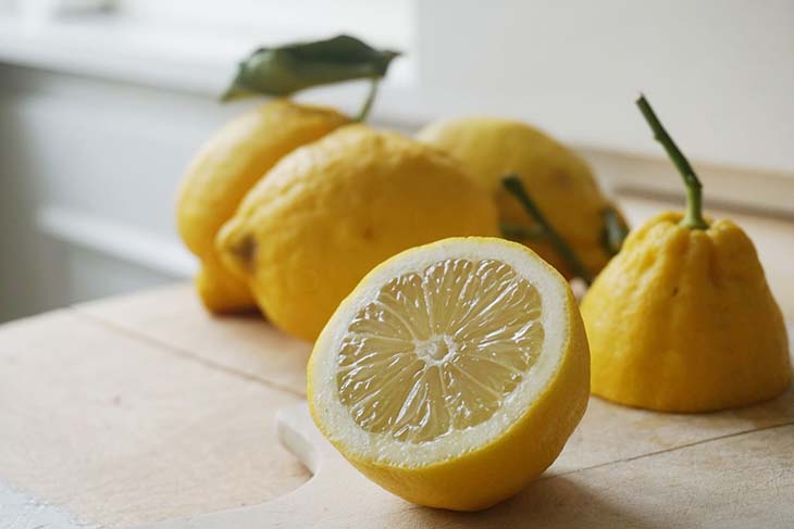 rodajas de limon de mesa