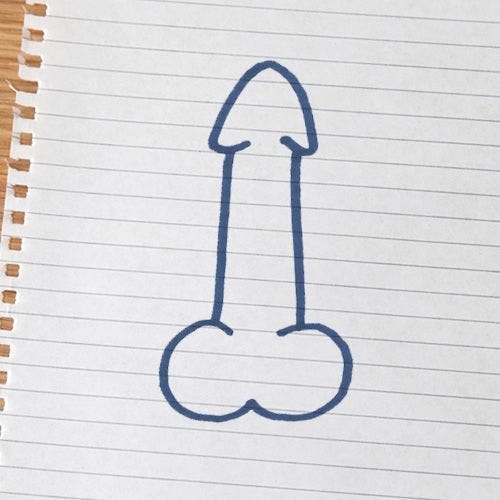 forme și tipuri de penis masculin