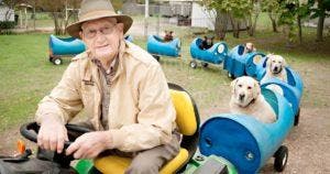 Un voyage sur le train d'Eugène : Comment un grand-père de 80 ans a créé une solution inventive pour les chiens errants