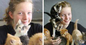 Une jeune héroïne sauve 14 chatons abandonnés avec son argent d'anniversaire : découvrez l'acte de compassion de Lucinda