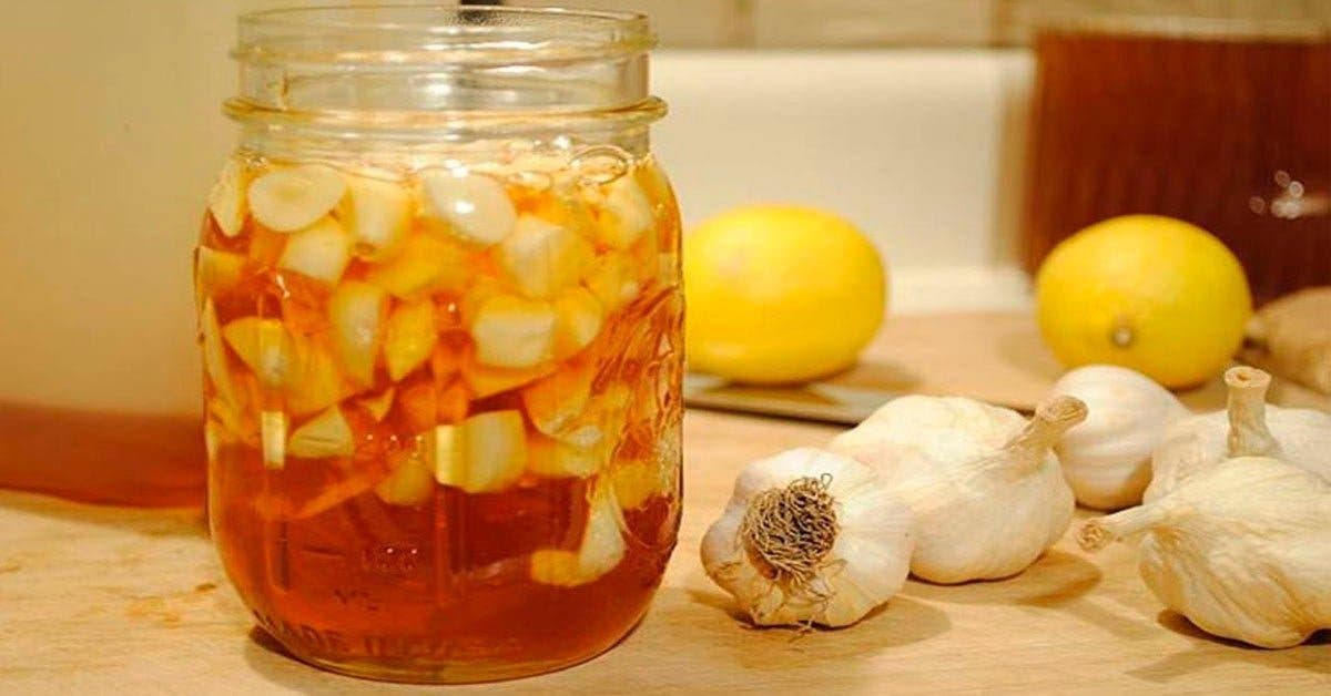 utilisez du citron du gingembre et de lail pour soigner les arteres bouchees le cholesterol les infections et le froid 1 1