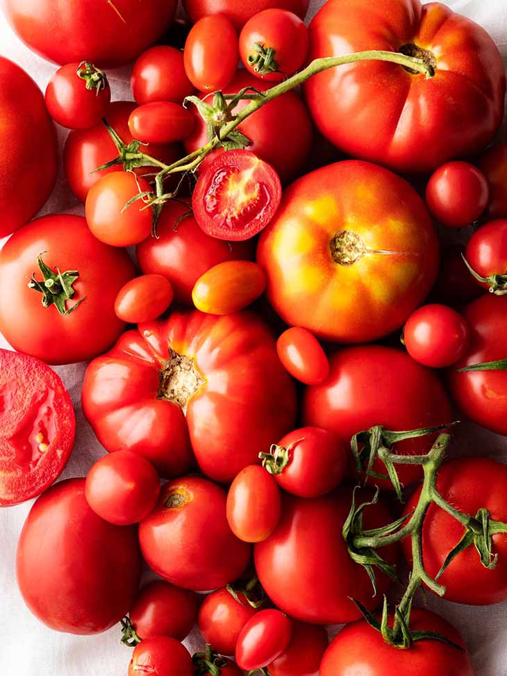 variétés de tomates