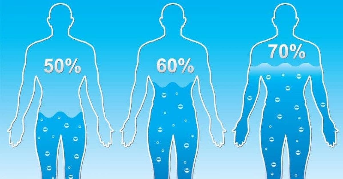 Voici combien d’eau vous devez boire par jour pour perdre du poids selon votre morphologie