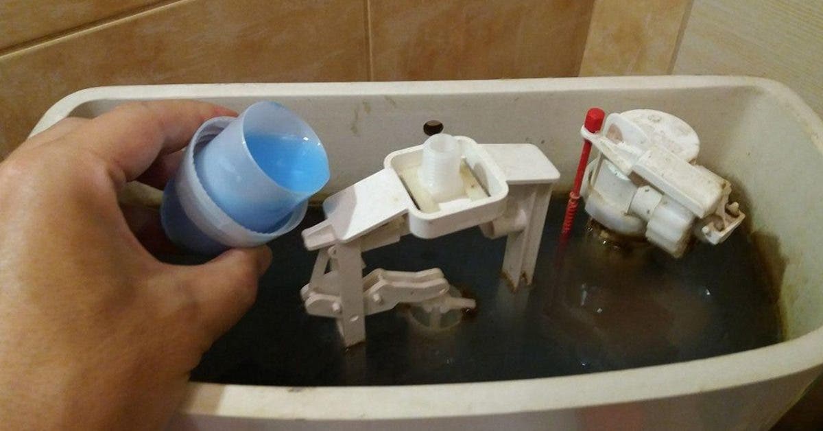 voici-comment-se-debarrasser-de-la-mauvaise-odeur-des-toilettes