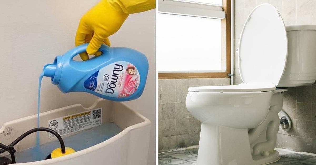 voici-pourquoi-vous-devriez-verser-de-lassouplissant-dans-vos-toilettes