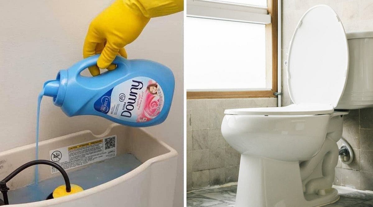 voici-pourquoi-vous-devriez-verser-de-lassouplissant-dans-vos-toilettes