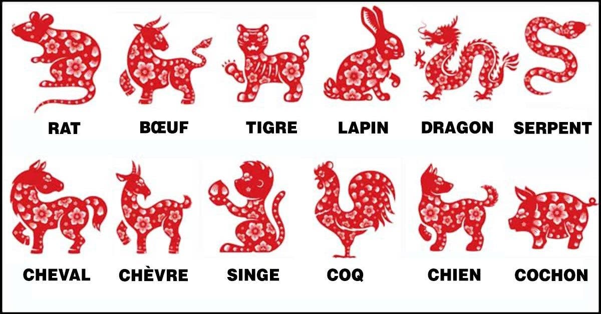 votre signe du zodiaque chinois revele de belles choses sur votre personnalite 1